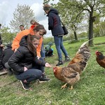vergrößerte Bildansicht wird geöffnet